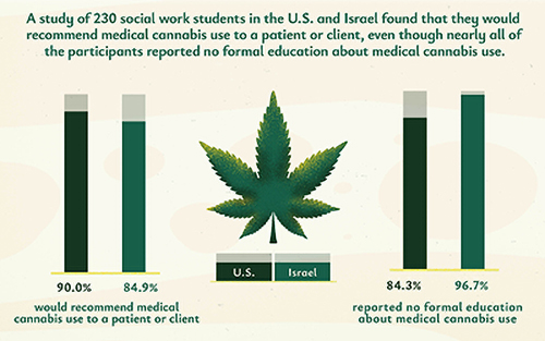 study results of medical cannabis recommendations from 230 social workers in the usa and israel